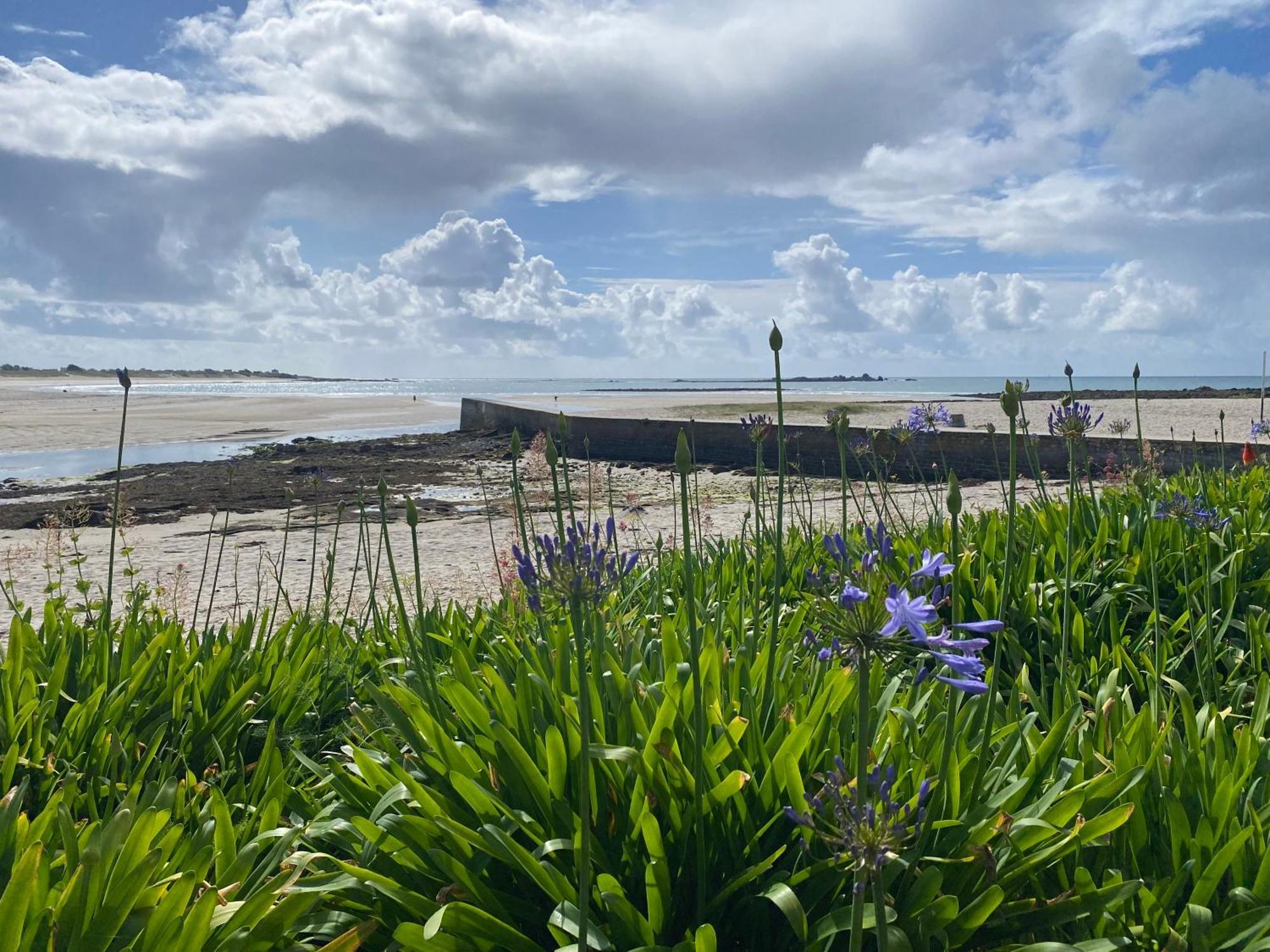 Villa Ster Et Mer Plobannalec-Lesconil Екстер'єр фото
