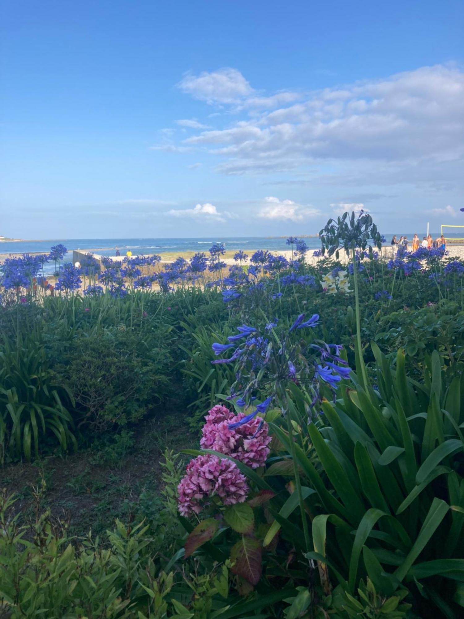 Villa Ster Et Mer Plobannalec-Lesconil Екстер'єр фото